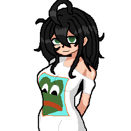 256x256