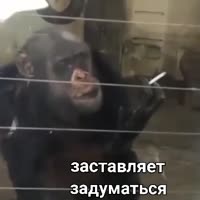 360x360