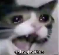 400x372