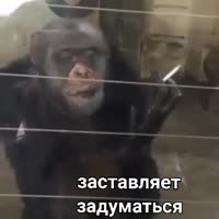 360x360