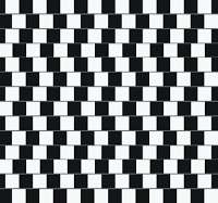 232x217