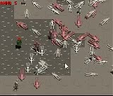 160x136