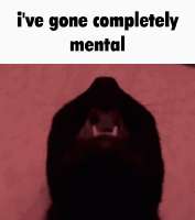 498x560