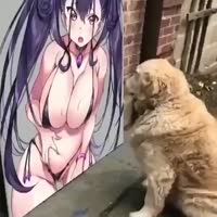 480x480
