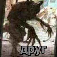 416x416