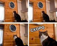 500x406