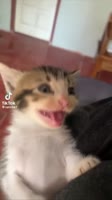 360x640