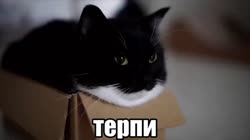 1280x720