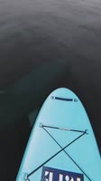 608x1080