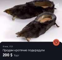 720x694