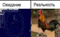 698x431