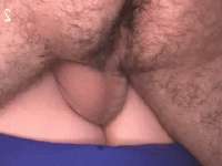 320x240