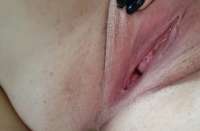 1262x830