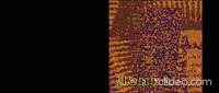1280x546