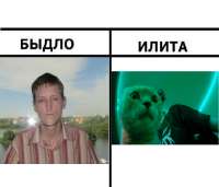 1015x869