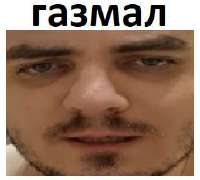 282x255