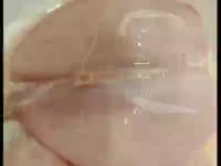 400x300