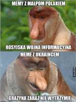 525x701
