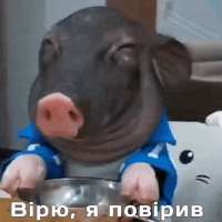 498x498
