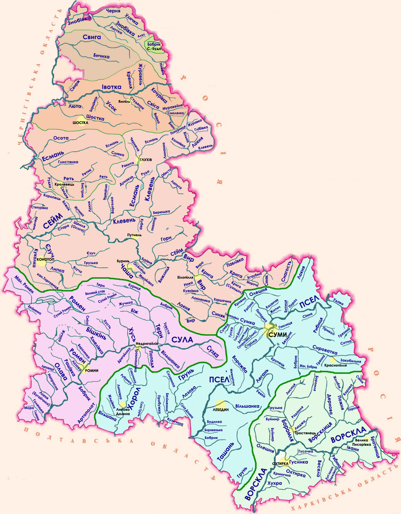 800x1025