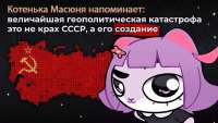 1274x720