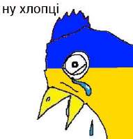 323x337