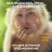 900x900