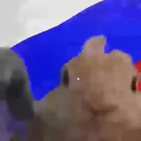 500x500
