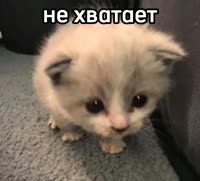 636x576