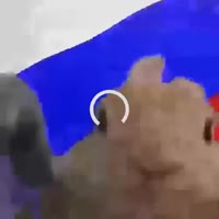 500x500