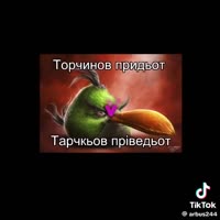 480x480