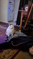 360x640