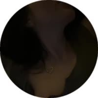 384x384