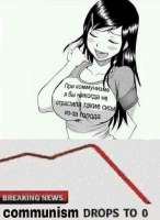 577x788