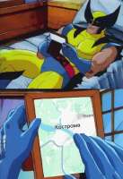 584x849