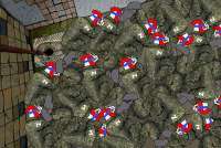 960x646