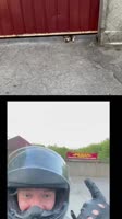 450x800