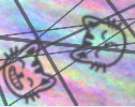 135x107