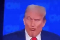 460x306
