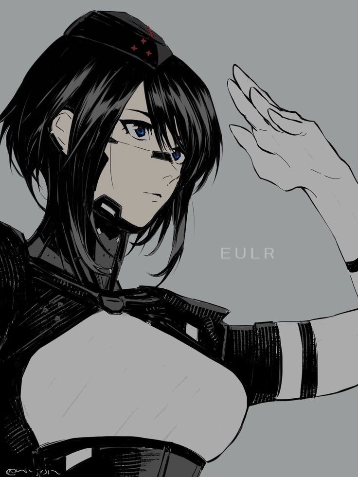 736x981