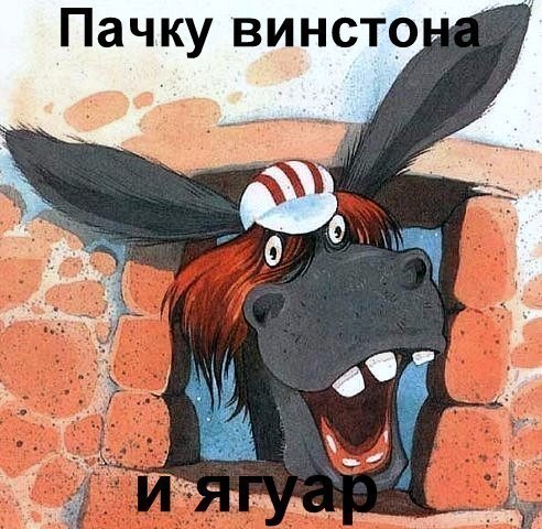 492x480