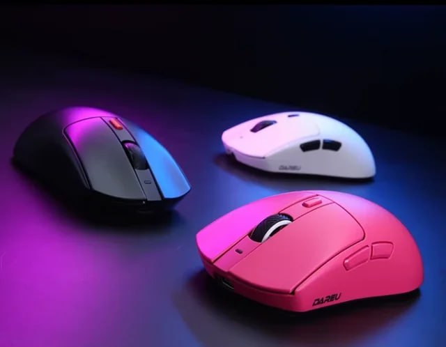 640x498