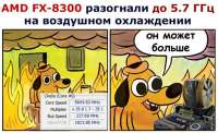 600x368