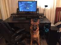 960x720