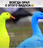 540x600