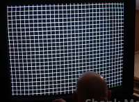 1235x920