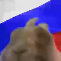 500x500