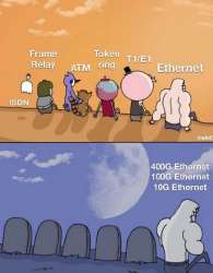 400x512