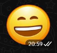 250x232