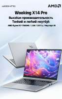 500x788